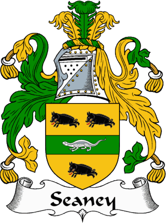 Seaney Clan Coat of Arms