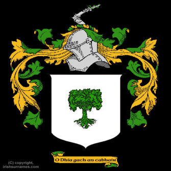 O'Connor (Don) Clan Coat of Arms